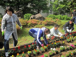 花の植え付け3