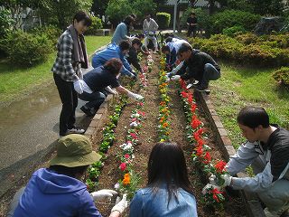 花の植え付け4